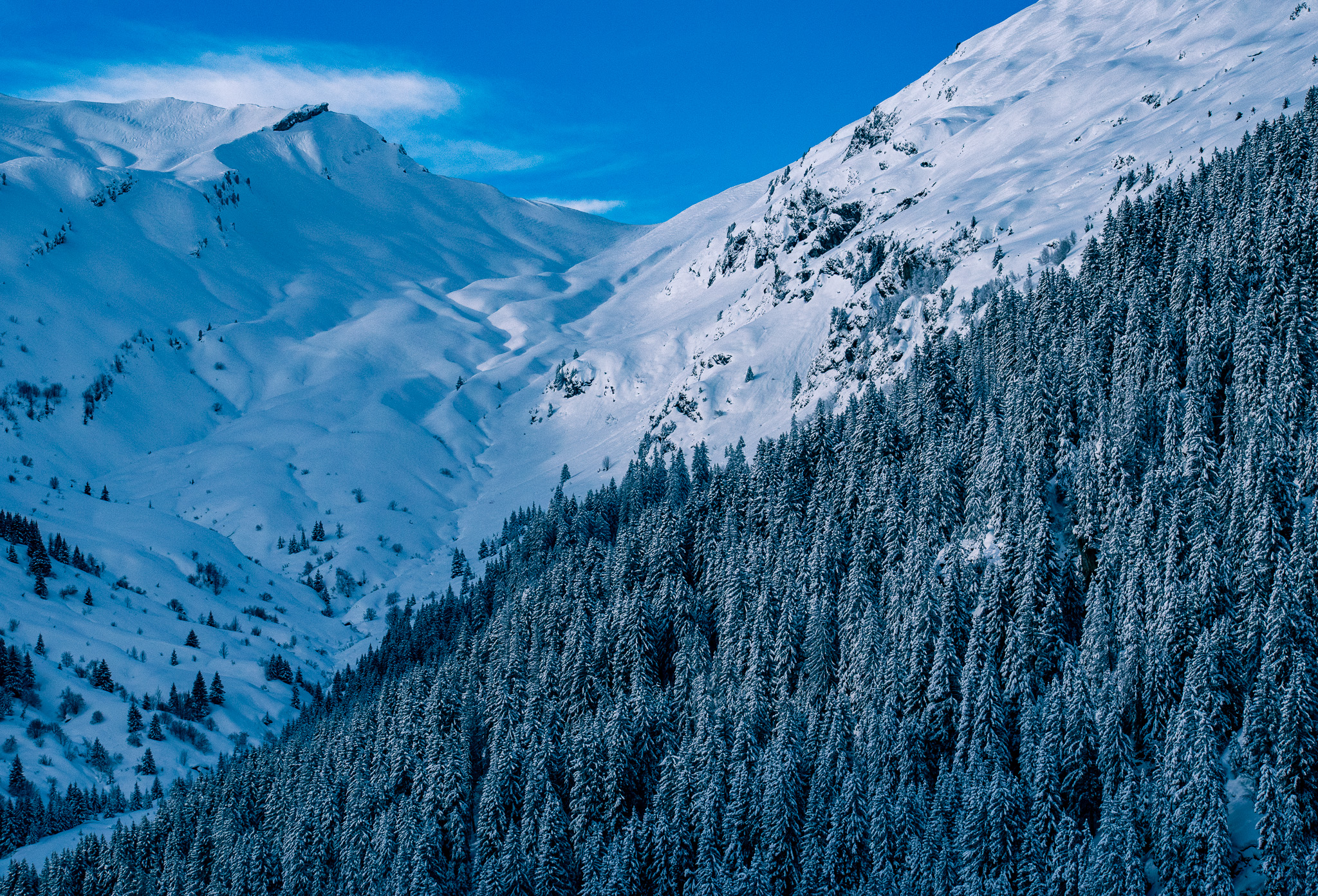 séjour hiver 2026