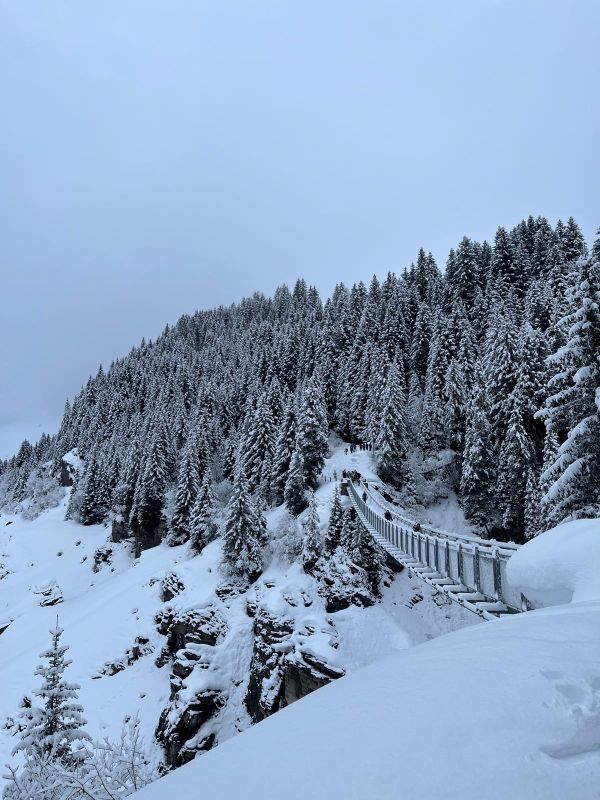 séjour hiver 2026
